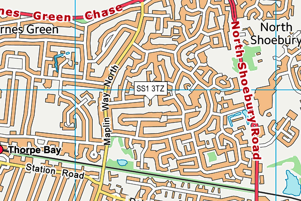 SS1 3TZ map - OS VectorMap District (Ordnance Survey)