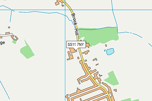 SS11 7NY map - OS VectorMap District (Ordnance Survey)