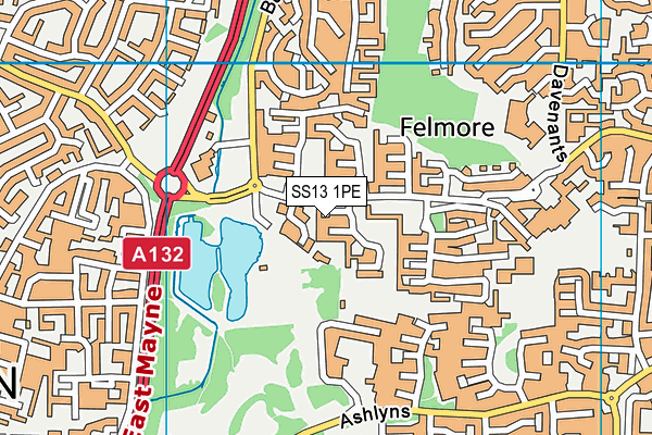 SS13 1PE map - OS VectorMap District (Ordnance Survey)