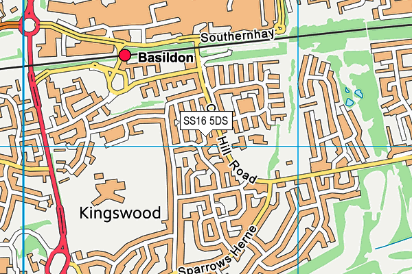 SS16 5DS map - OS VectorMap District (Ordnance Survey)