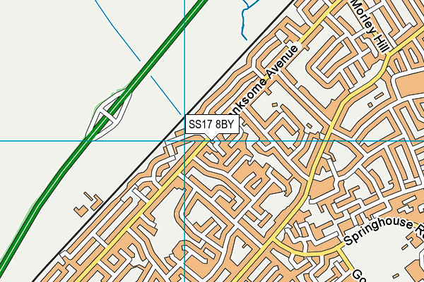 SS17 8BY map - OS VectorMap District (Ordnance Survey)