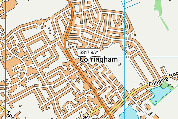 SS17 9AY map - OS VectorMap District (Ordnance Survey)
