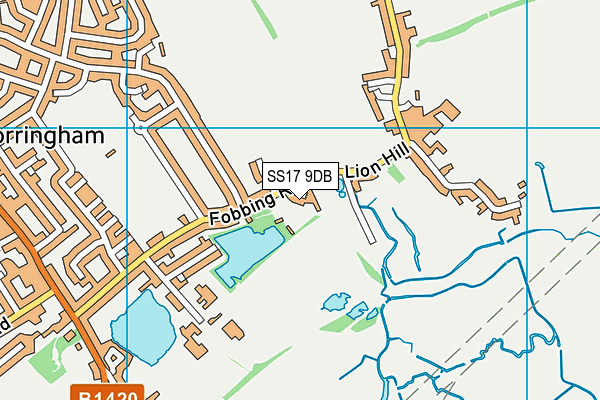 SS17 9DB map - OS VectorMap District (Ordnance Survey)