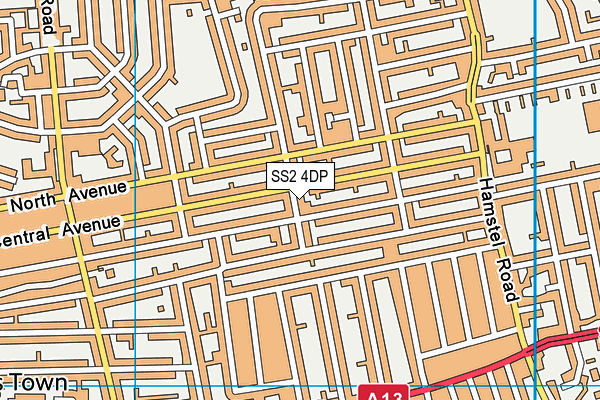 SS2 4DP map - OS VectorMap District (Ordnance Survey)