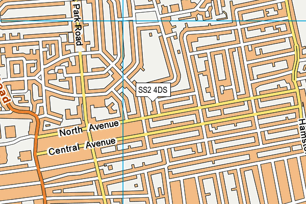 SS2 4DS map - OS VectorMap District (Ordnance Survey)