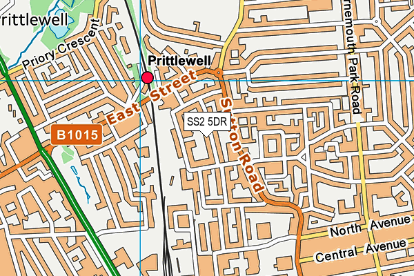 SS2 5DR map - OS VectorMap District (Ordnance Survey)