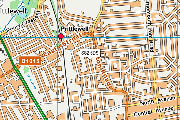 SS2 5DS map - OS VectorMap District (Ordnance Survey)