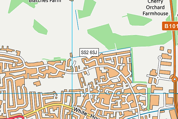 SS2 6SJ map - OS VectorMap District (Ordnance Survey)