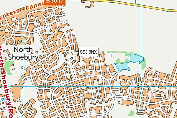 SS3 9NX map - OS VectorMap District (Ordnance Survey)