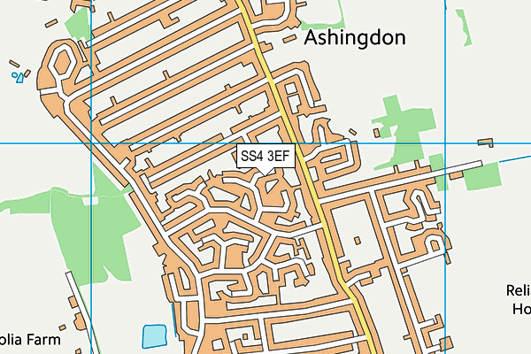 SS4 3EF map - OS VectorMap District (Ordnance Survey)