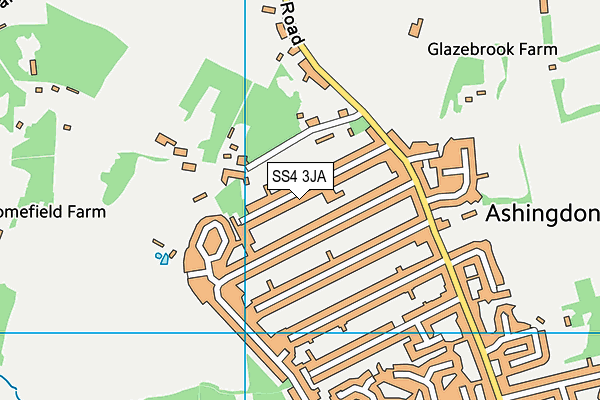 SS4 3JA map - OS VectorMap District (Ordnance Survey)
