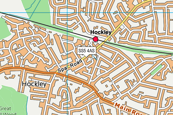 SS5 4AS map - OS VectorMap District (Ordnance Survey)