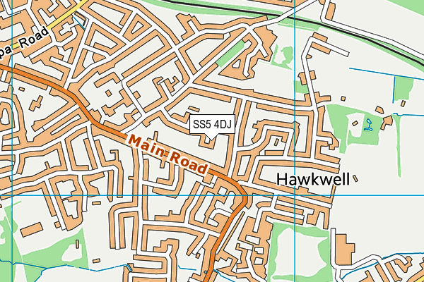 SS5 4DJ map - OS VectorMap District (Ordnance Survey)
