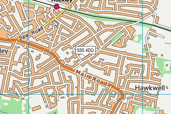 SS5 4DQ map - OS VectorMap District (Ordnance Survey)