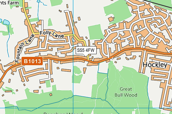 SS5 4FW map - OS VectorMap District (Ordnance Survey)