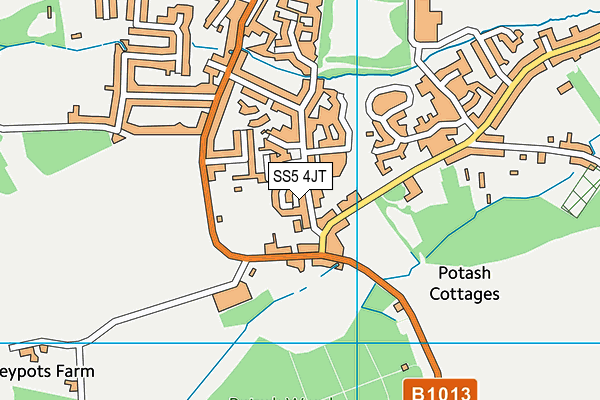 SS5 4JT map - OS VectorMap District (Ordnance Survey)