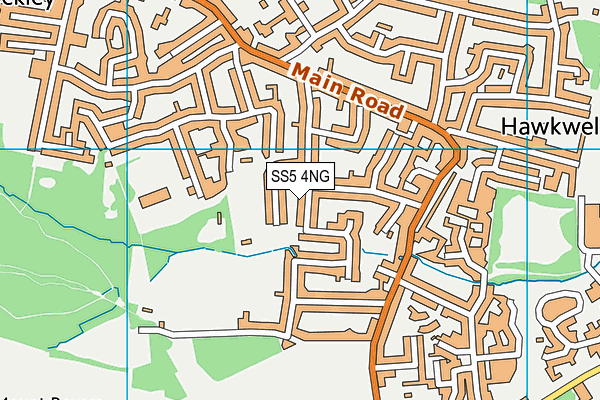 SS5 4NG map - OS VectorMap District (Ordnance Survey)