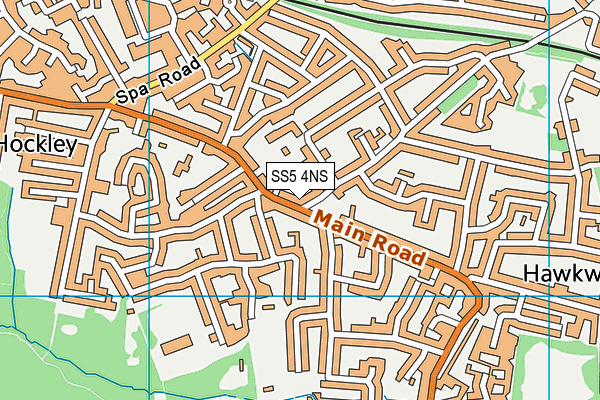 SS5 4NS map - OS VectorMap District (Ordnance Survey)