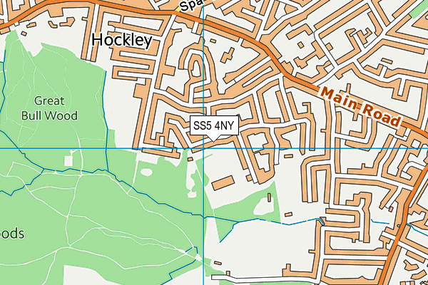 SS5 4NY map - OS VectorMap District (Ordnance Survey)