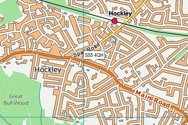 SS5 4QH map - OS VectorMap District (Ordnance Survey)