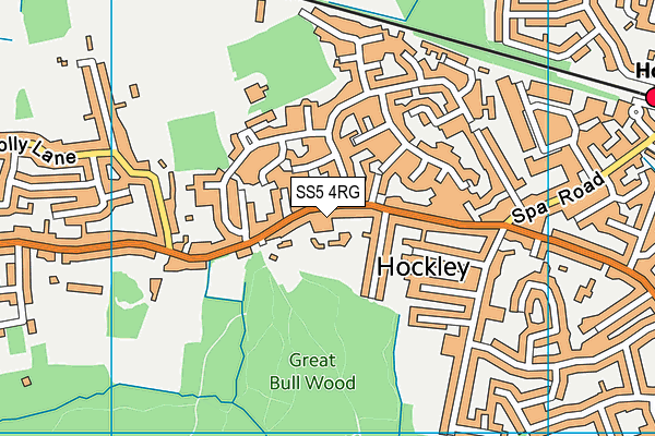 SS5 4RG map - OS VectorMap District (Ordnance Survey)