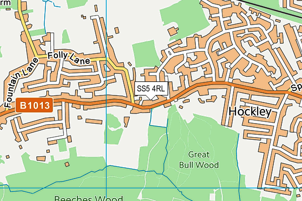 SS5 4RL map - OS VectorMap District (Ordnance Survey)