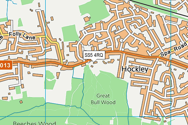 SS5 4RQ map - OS VectorMap District (Ordnance Survey)