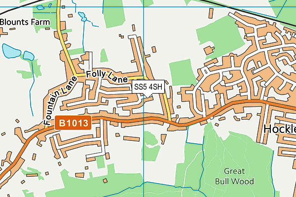 SS5 4SH map - OS VectorMap District (Ordnance Survey)