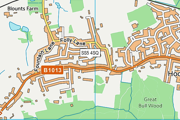 SS5 4SQ map - OS VectorMap District (Ordnance Survey)