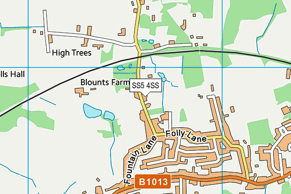 SS5 4SS map - OS VectorMap District (Ordnance Survey)