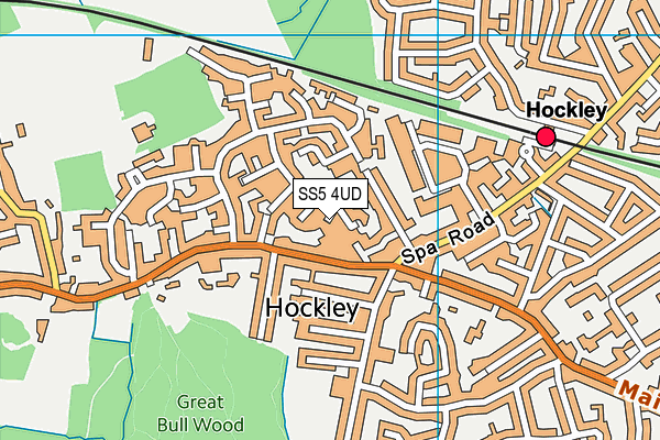 SS5 4UD map - OS VectorMap District (Ordnance Survey)