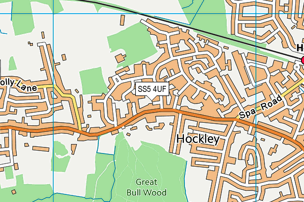 SS5 4UF map - OS VectorMap District (Ordnance Survey)