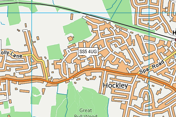 SS5 4UG map - OS VectorMap District (Ordnance Survey)