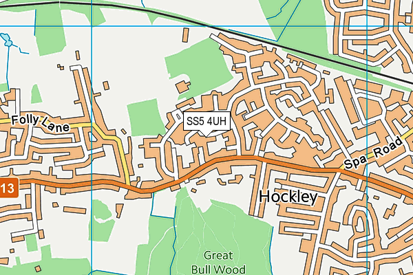 SS5 4UH map - OS VectorMap District (Ordnance Survey)