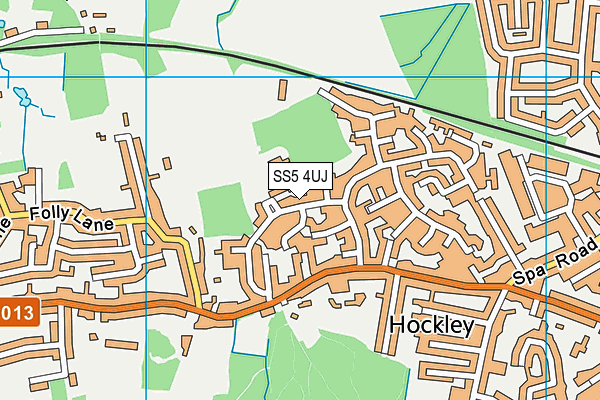 SS5 4UJ map - OS VectorMap District (Ordnance Survey)