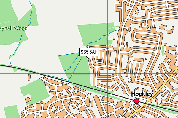 SS5 5AH map - OS VectorMap District (Ordnance Survey)