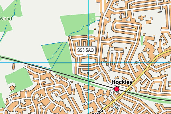 SS5 5AQ map - OS VectorMap District (Ordnance Survey)