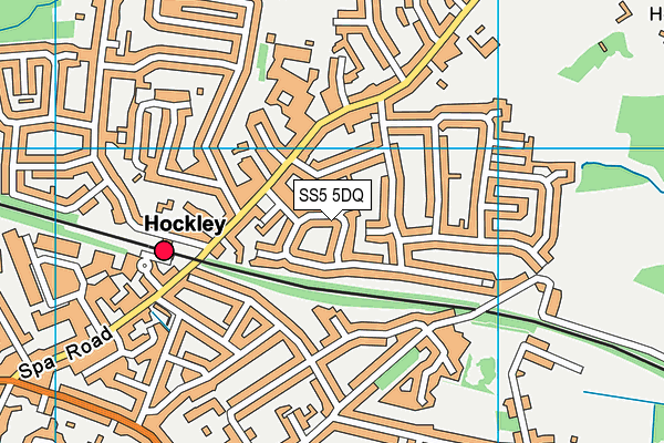SS5 5DQ map - OS VectorMap District (Ordnance Survey)