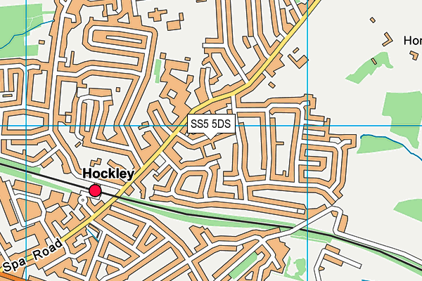 SS5 5DS map - OS VectorMap District (Ordnance Survey)