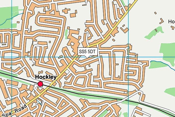 SS5 5DT map - OS VectorMap District (Ordnance Survey)