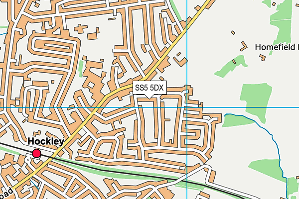 SS5 5DX map - OS VectorMap District (Ordnance Survey)