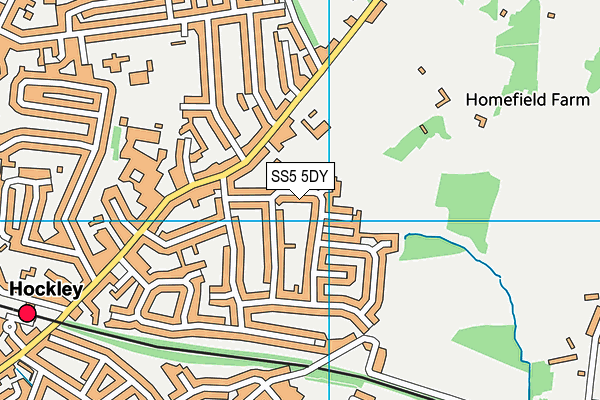SS5 5DY map - OS VectorMap District (Ordnance Survey)
