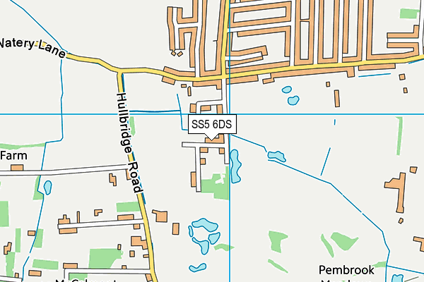 SS5 6DS map - OS VectorMap District (Ordnance Survey)
