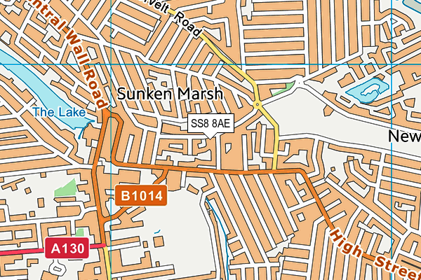 SS8 8AE map - OS VectorMap District (Ordnance Survey)