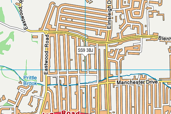 SS9 3BJ map - OS VectorMap District (Ordnance Survey)