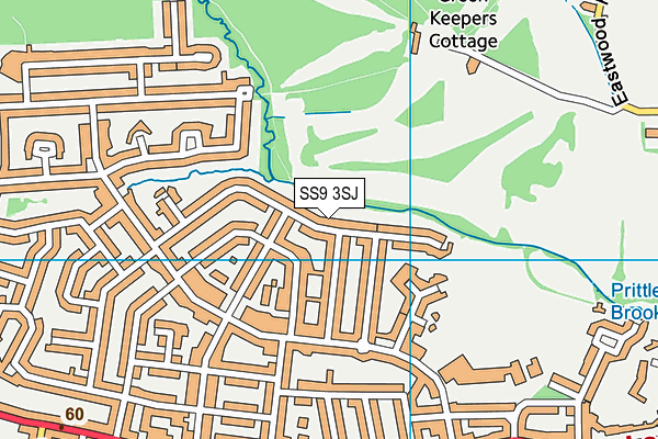 SS9 3SJ map - OS VectorMap District (Ordnance Survey)