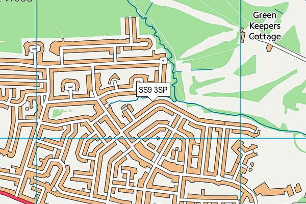 SS9 3SP map - OS VectorMap District (Ordnance Survey)