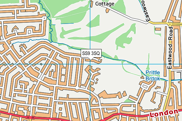 SS9 3SQ map - OS VectorMap District (Ordnance Survey)