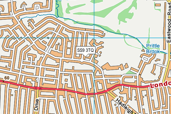 SS9 3TQ map - OS VectorMap District (Ordnance Survey)