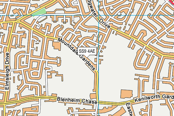 SS9 4AE map - OS VectorMap District (Ordnance Survey)